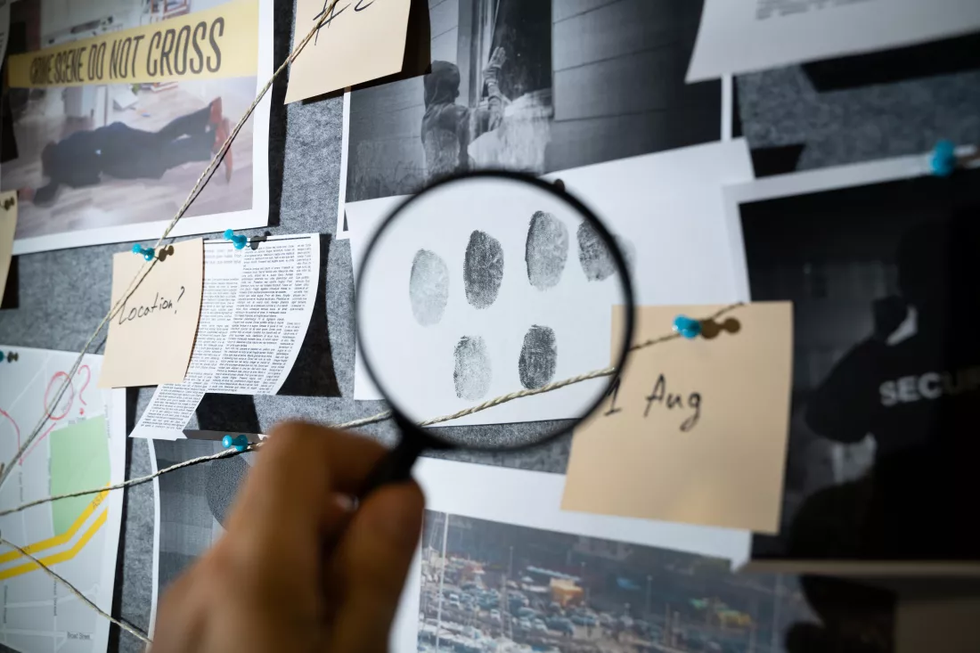 police-inspection-looking-clues