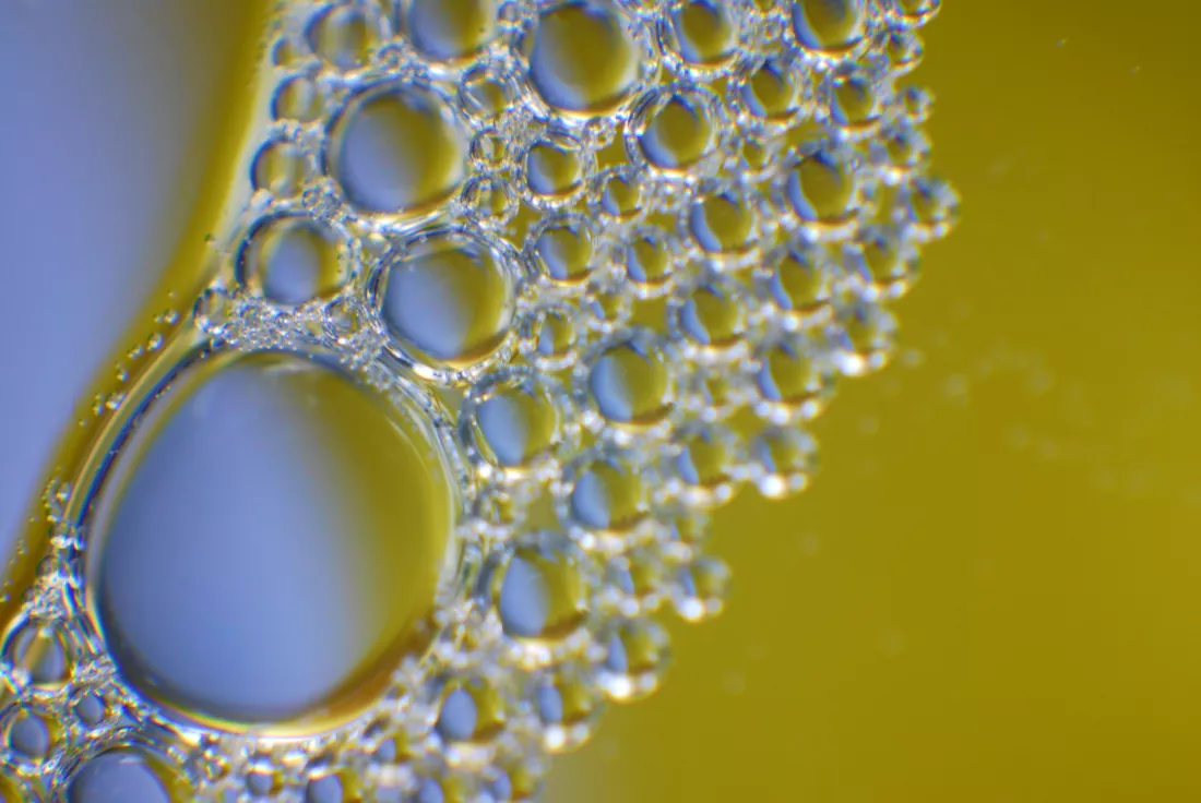 Biologia molekularnav