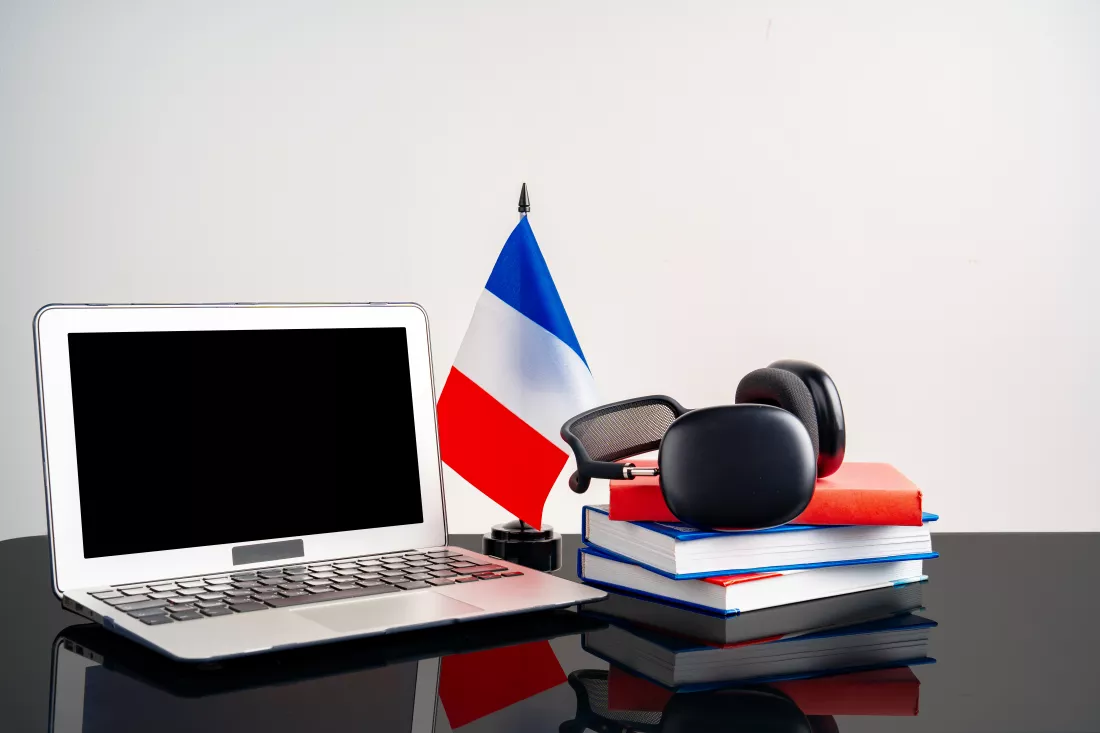 Język francuski biznesuv