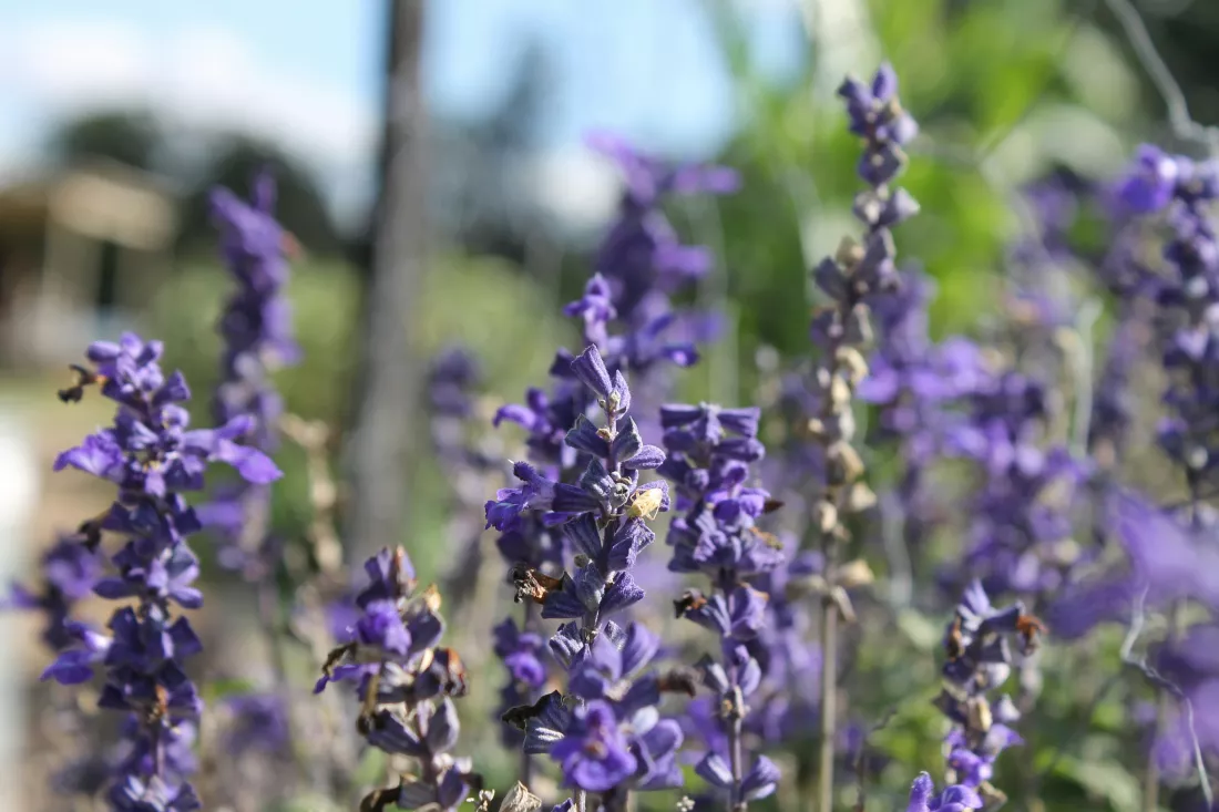 leo-perkins-2I7CJ8uOQMQ-unsplash