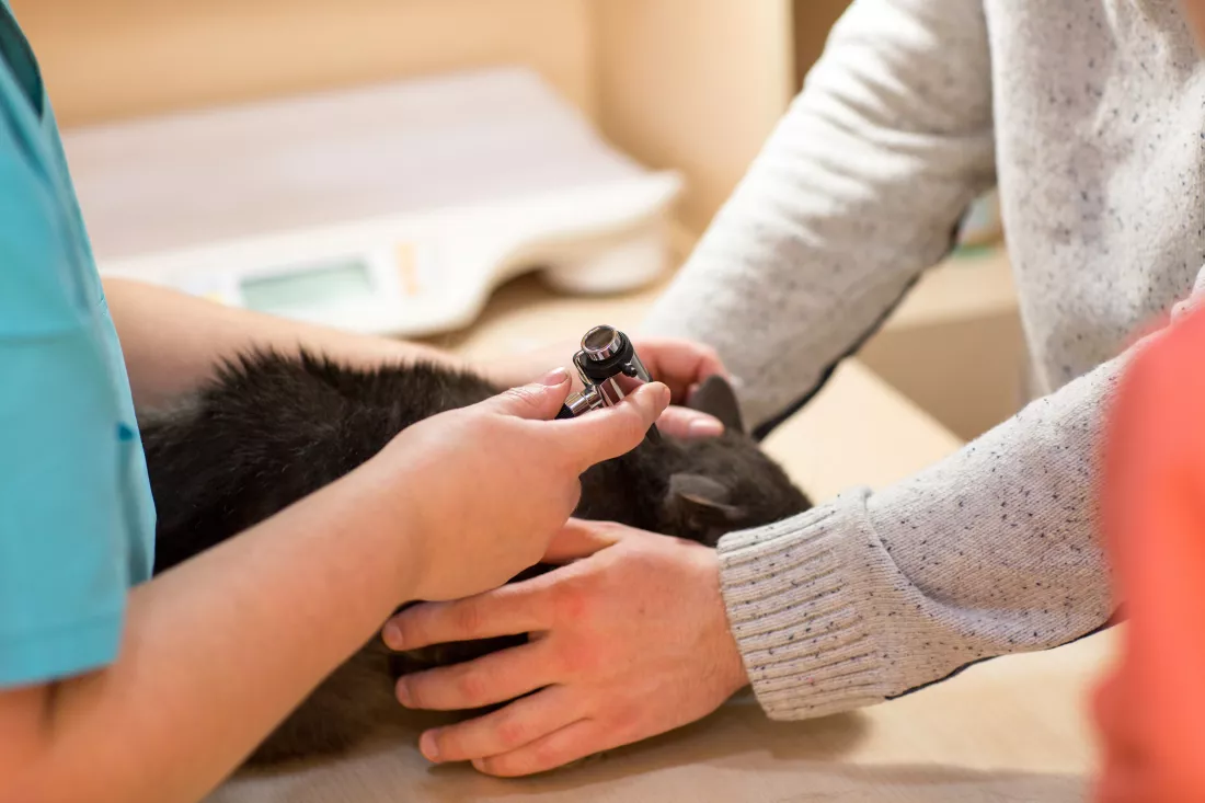 close-up-couple-holding-hands